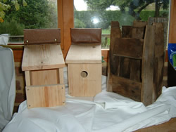 Three Home made Bird Boxes prior to hanging